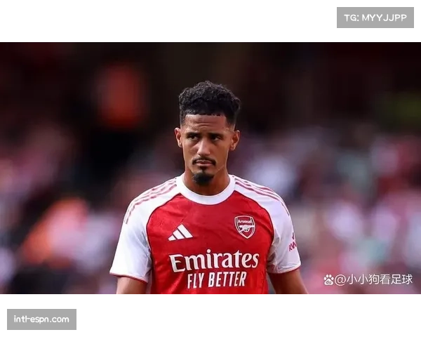 萨利巴专访:阿森纳后防领袖谈防线四人组的默契与移动原则